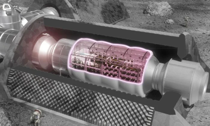 Как немецкие ученые будут выращивать растения в лунном грунте