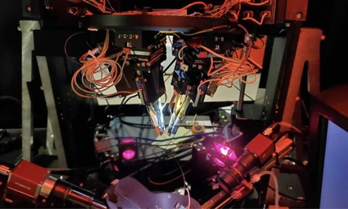 Ученые выяснили, как высшие отделы мозга заставляют нас видеть то, чего нет