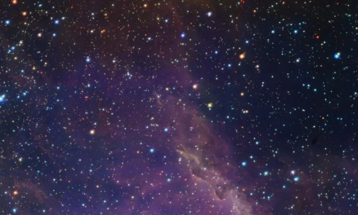 Туманность «Бегущий цыпленок» показали в деталях