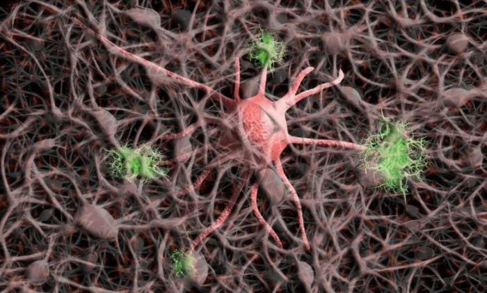 Многообещающее лечение может остановить или даже обратить вспять прогрессирование рассеянного склероза