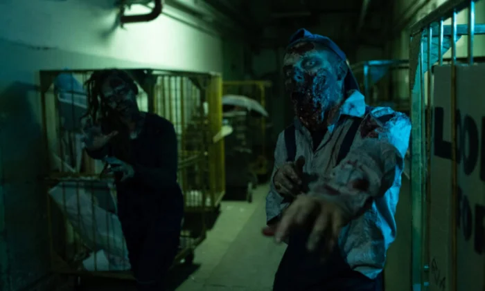 Реален ли зомби-апокалипсис от грибка: объясняет ученый