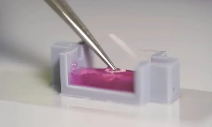 Керамические чернила с живыми клетками напечатают кость прямо в теле пациента