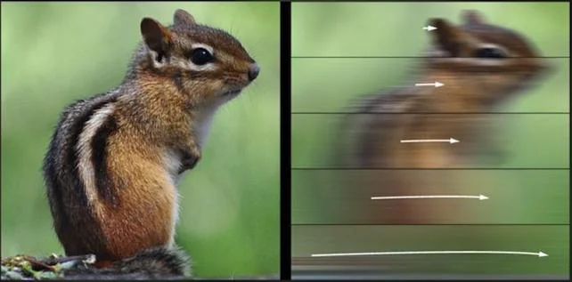 Скорость движения глаз может скрывать объекты в поле зрения