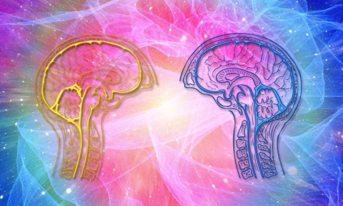 Сознание как энтропия: новое объяснение ученых