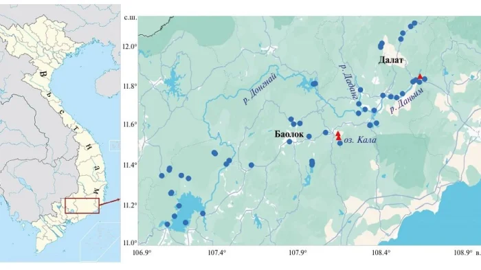 Распространение краснобрюхих тиляпий