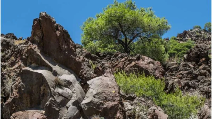 Незаросший лавовый поток вулкана Метана