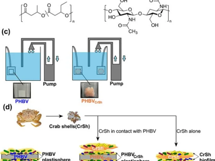 Химизм эксперимента