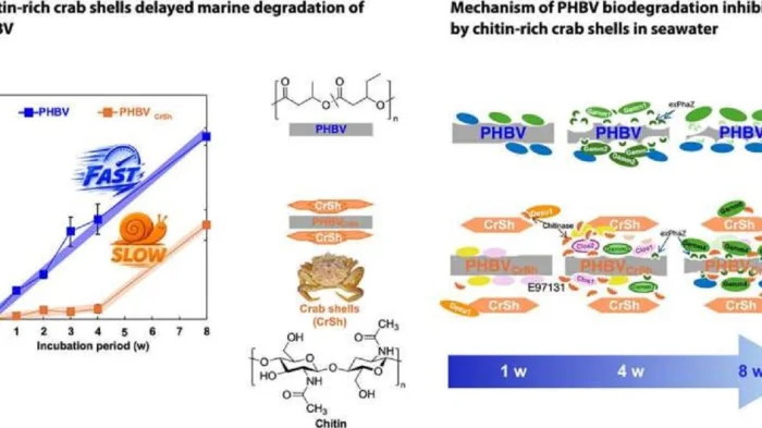 Графический экстракт
