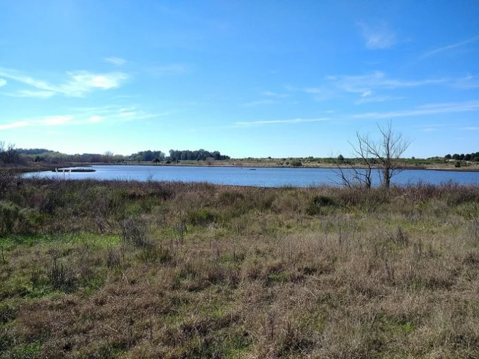 Лагуна Патос
