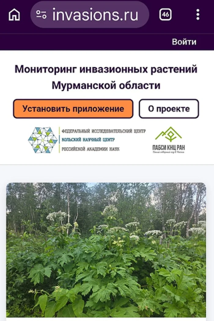 Вид мобильной версии сайта