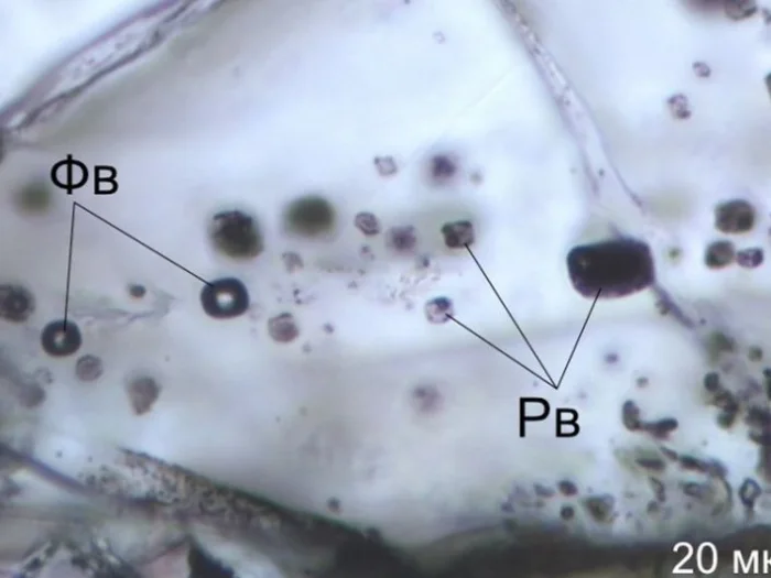 Виды микровключений